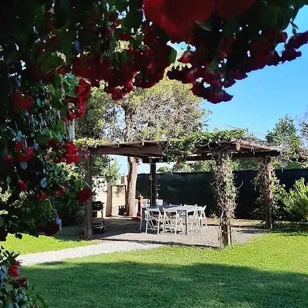 Le Rose Apartment *