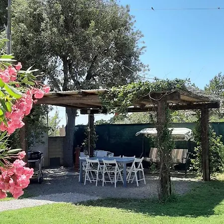 Le Rose Apartment *