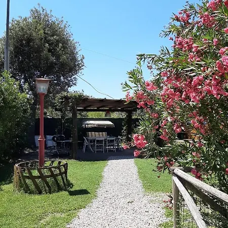 Le Rose Apartment
