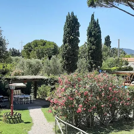 Le Rose Apartment Piombino